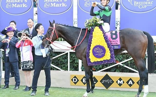 ラヴズオンリーユーは香港カップで引退、ノーザンファームで繁殖入り