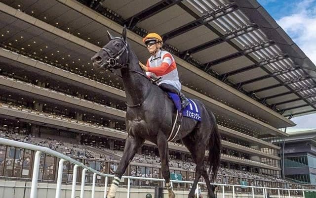 【香港マイル 選出馬】安田記念覇者ダノンキングリー、15連勝中のゴールデンシックスティなど