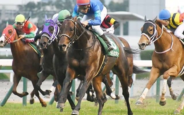 【京阪杯展望】時計が掛かるスプリント戦、注目はあの馬