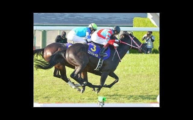 ジャパンＣで引退の３冠馬コントレイルをデータは後押し。好敵手シャフリヤールの勝算は？