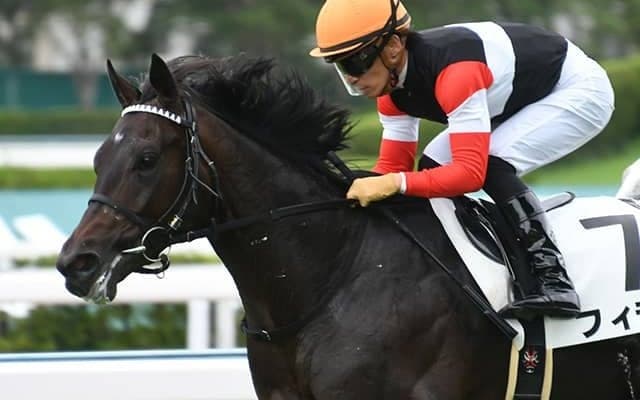 【京都2歳S出走馬・騎手確定】トゥデイイズザデイ＆武豊騎手、フィデル＆川田将雅騎手など10頭