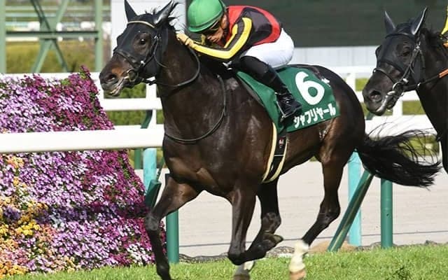 【AI予想】今週も「大きな波乱は期待できない」!? ジャパンCでのAI推し馬は？