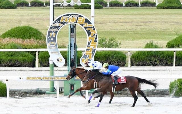 【兵庫ジュニアグランプリ】セキフウが3連勝で重賞初制覇