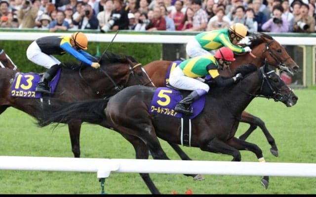 ワールドプレミアが競走馬登録抹消