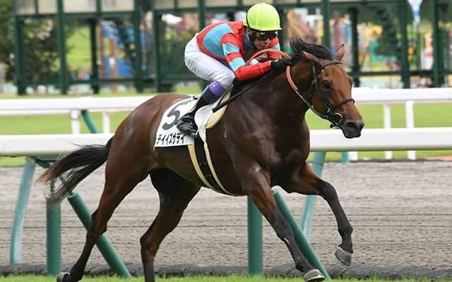 【京都2歳S「見逃せない調教師」ベスト3】2016年以降、阪神芝2000mで重賞5勝を挙げている調教師は？