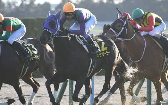 【京阪杯「見逃せない調教師」ベスト3】阪神芝1200mで複勝率42.9％、複勝回収率140％を記録している調教師は？