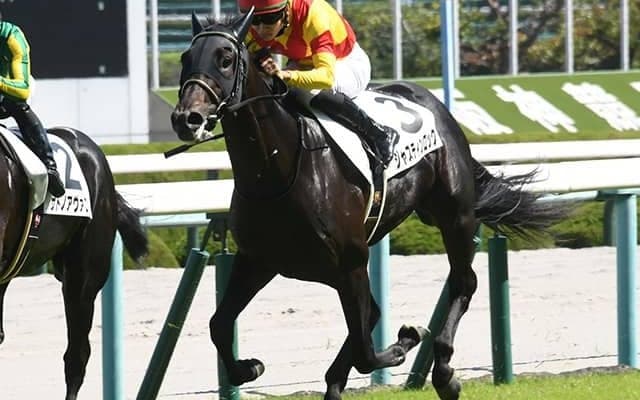 【京都2歳S予想】今年はフィデルだけ!? ノーザンファームの躍進はそれでも続くのか