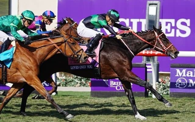 【香港国際競走】4競走の勝馬投票券発売が決定　ラヴズオンリーユーなどが出走予定