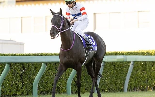 【京阪杯前々日オッズ】エイティーンガールが2.3倍で1番人気