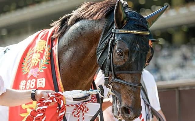 【ジャパンC】シャフリヤールは「大帝」ジャパンは「日出之國」 出走馬の馬名意味と香港表記を紹介