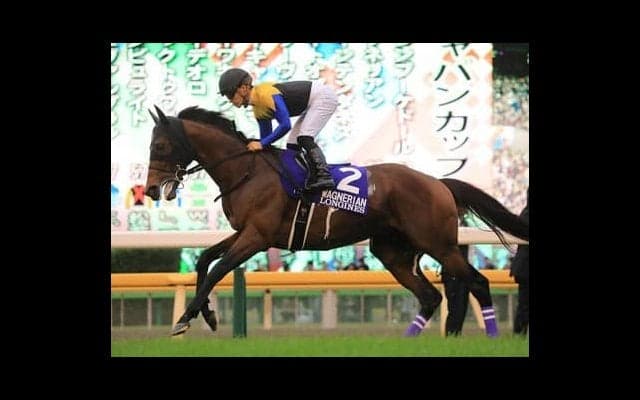 新旧ダービー馬による「２強」対決に沸くジャパンＣ。舞台が合うかつてのダービー馬も要注意