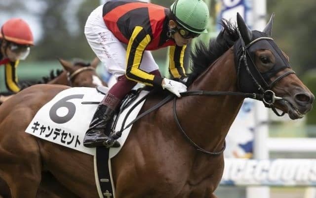 【京都2歳S予想】難解な1戦で、心強い材料を持つ注目の若駒