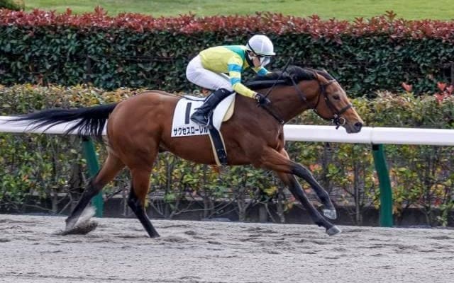 【東京6R新馬戦結果】サクセスローレルが逃げ切り4馬身差完勝