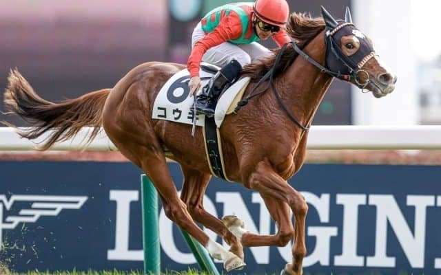 【東京5R新馬戦結果】エピファネイア産駒コウキが内から抜け出してデビュー勝ち