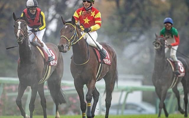 【ステイヤーズS想定】前年覇者オセアグレイトなど13頭、カウディーリョはムーア騎手と新コンビ