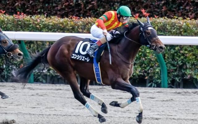 【カトレアS結果】ルメール騎手騎乗コンシリエーレが早め先頭から押し切り無傷2連勝