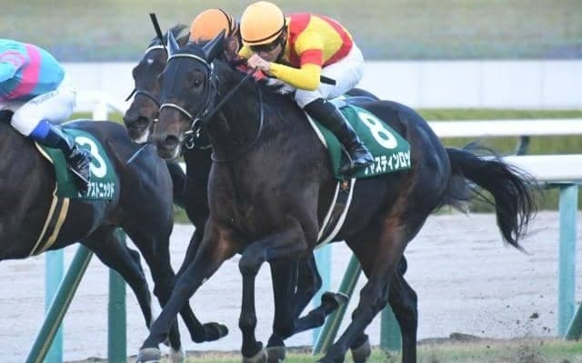 【京都2歳S】ジャスティンロックが早めに動いて3頭の競り合いを制す！リオンディーズ産駒のJRA重賞初V