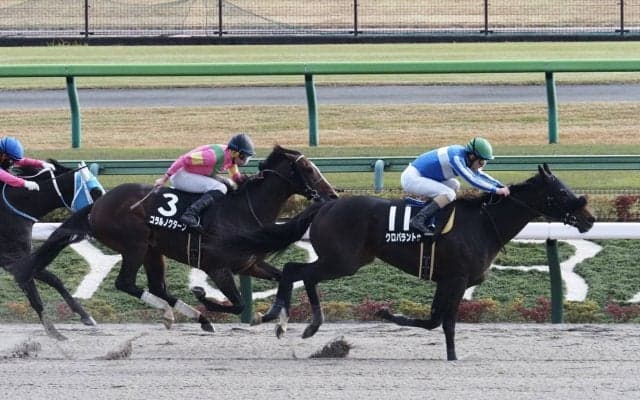 【シャングリラS】キズナ産駒 クロパラントゥが6連勝