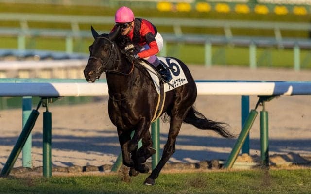 【阪神12R】武豊 アールラプチャーが3勝目