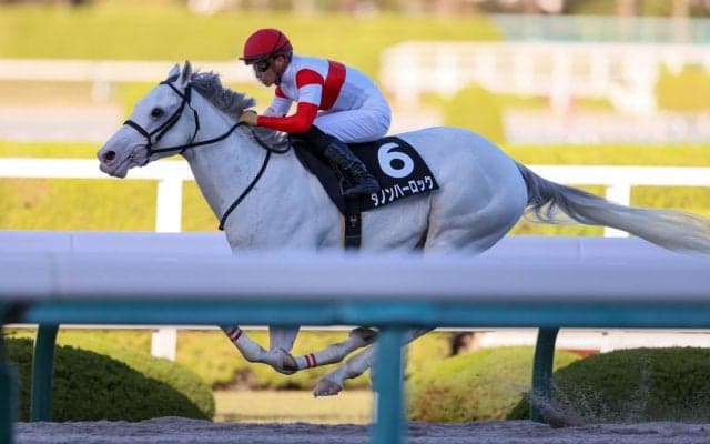 【茨木S】ダノンハーロックが3連勝