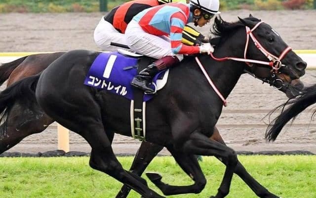 【本日の注目ポイント】ジャパンCでコントレイルがラストラン 阪神最終・京阪杯にも注目