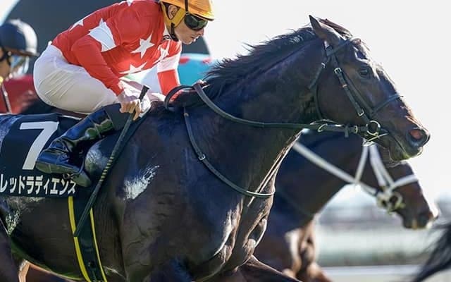 【ベゴニア賞結果】R.ムーア騎手騎乗レッドラディエンスが追い比べを制す