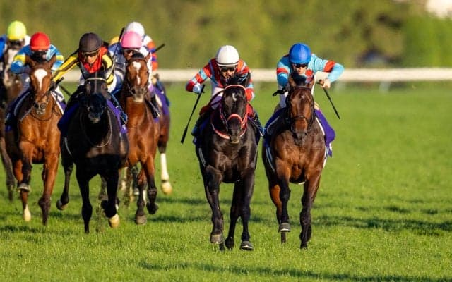 【ジャパンC】ルメール「コントレイルはめちゃ強い」レース後ジョッキーコメント