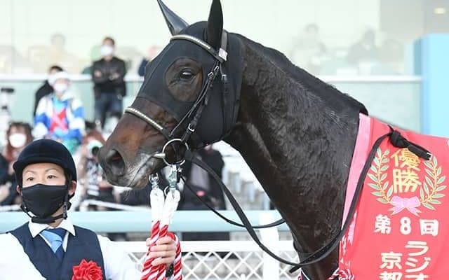 【京都2歳S】売上は31億1890万1000円で昨年からおよそ2億円の増加