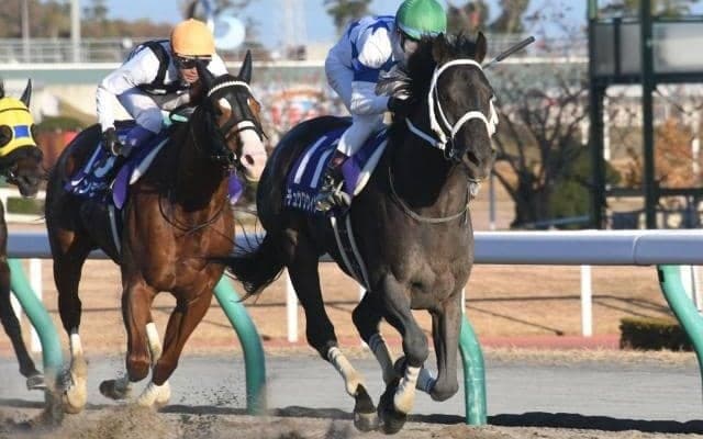 【チャンピオンズC見どころ】昨年覇者チュウワウィザードが中心か 白毛ソダシの初ダートにも注目