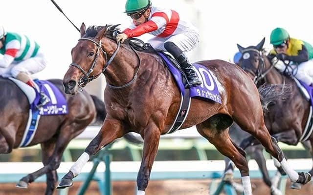 【JRA】払戻率80％「JRAスーパープレミアム」を12月28日に実施　ホープフルSなど