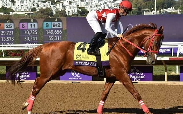 【JRA】マテラスカイが競走馬登録抹消　ドバイ、サウジアラビアなど海外で7戦