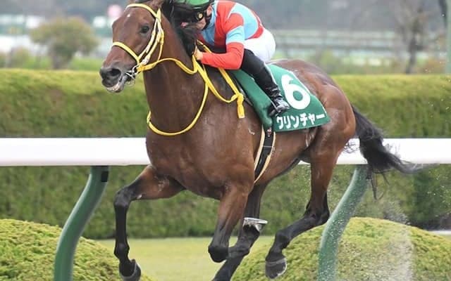 【チャンピオンズC予想】鞍上込みなら勝率「100%」!? 好調AIが指名する妙味ある「◎」とは…