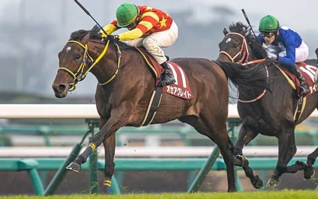 【ステイヤーズS想定騎手】オセアグレイトは横山典弘騎手、ボスジラは菅原明良騎手