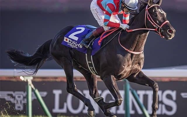 ディープ-コントレイルのラインが日本の生産界を背負うことに期待＆チャンピオンズCで頼りになる血