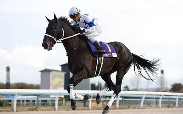 【チャンピオンズC想定騎手】チュウワウィザードは戸崎圭太騎手、ソダシは吉田隼人騎手