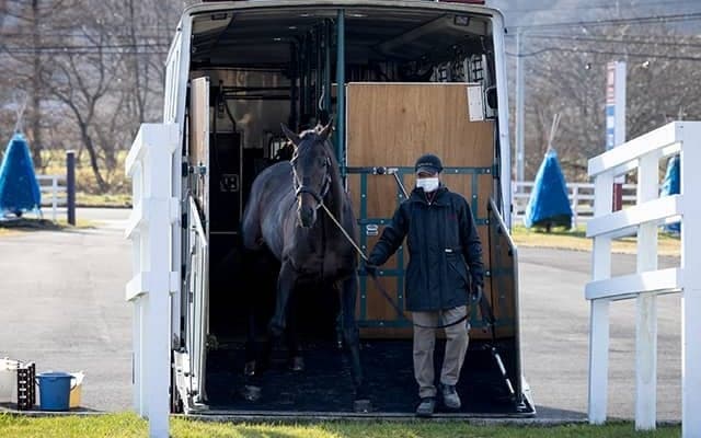 「クラシックを目指せる馬を」GI・2勝ワールドプレミアがスタッドイン