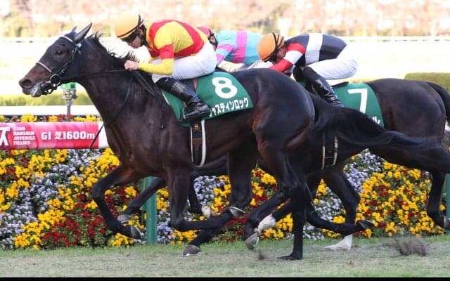 【京都2歳S】ジャスティンロックが重賞初制覇