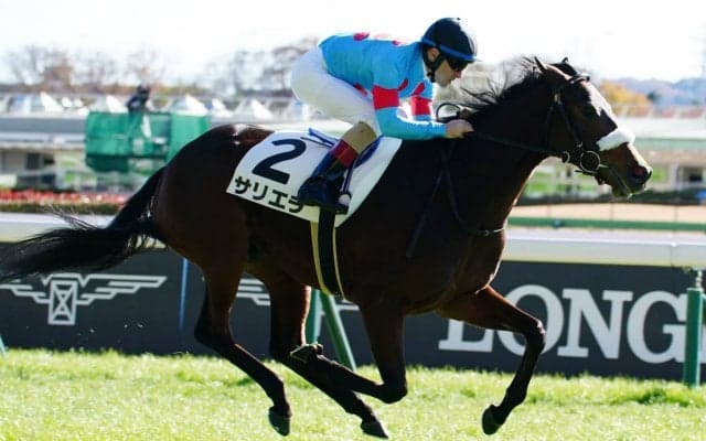 【新馬/東京6R】サリエラがデビューV！ルメールが本日5勝目