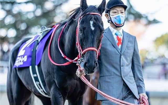 コントレイルの種付料は1200万円！父ディープインパクトの後継種牡馬へ