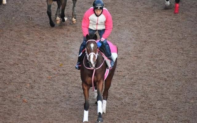 グランドエルグなど、先週の入厩情報/栗東トレセンニュース