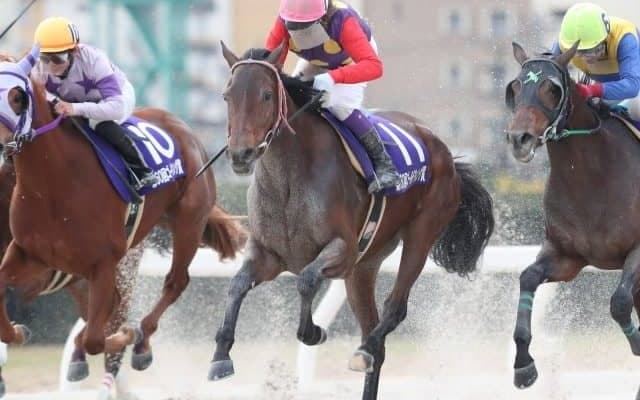 【名古屋・ゴールドウィング賞結果】笠松のドミニクが差し切って重賞初制覇