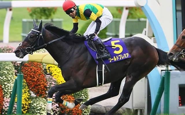 【先週のJRA抹消馬】ワールドプレミアは優駿SS、マテラスカイはブリーダーズSSでそれぞれ種牡馬入り