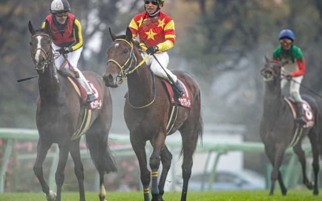 【ステイヤーズS予想オッズ】昨年の覇者オセアグレイトが予想1番人気