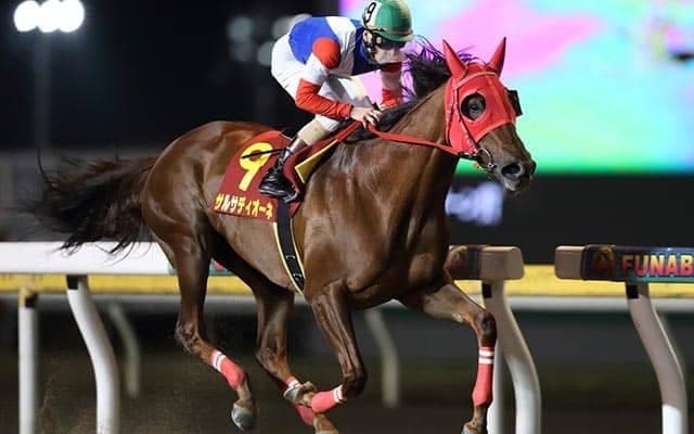 近年まれに見る“地方馬豊作の年”　もしカジノフォンテンがチャンピオンズCを勝てば…