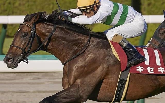 【次走】キセキは有馬記念でラストラン　引退後はブリーダーズSSで種牡馬入りへ