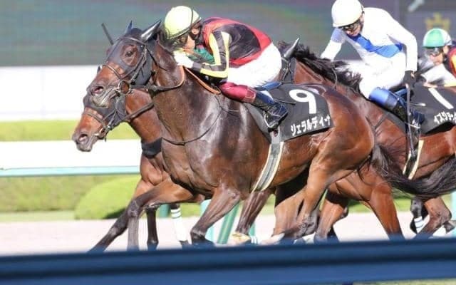 【チャレンジC展望】若くて勢いのある馬が活躍傾向、あの馬に期待したい