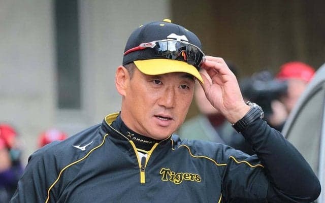 打席ではどのコースを待っている？　3人の歴代ホームラン打者が明かす理論