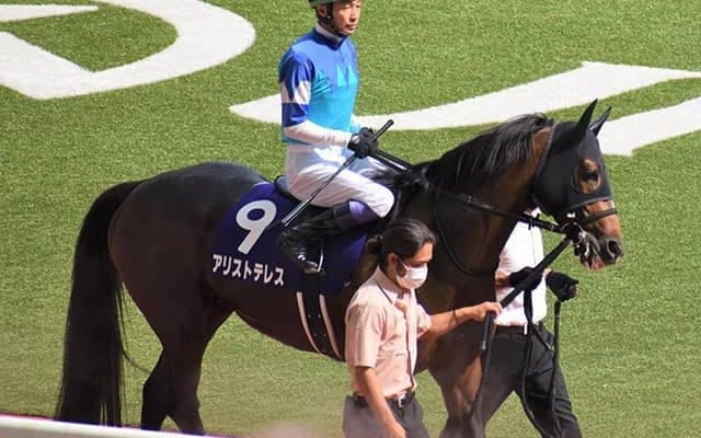 【次走】アリストテレスは武豊騎手とのコンビで有馬記念へ