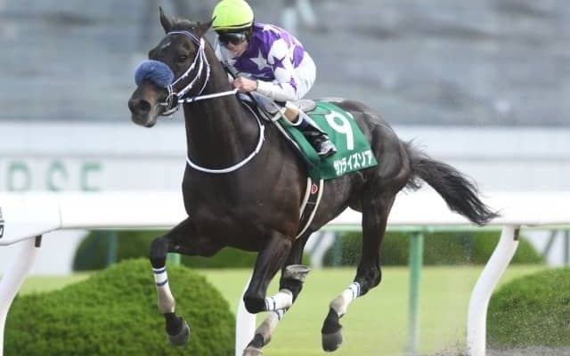【JRA】サンライズソアがイーストスタッドで種牡馬に、2018年平安Sなど重賞2勝