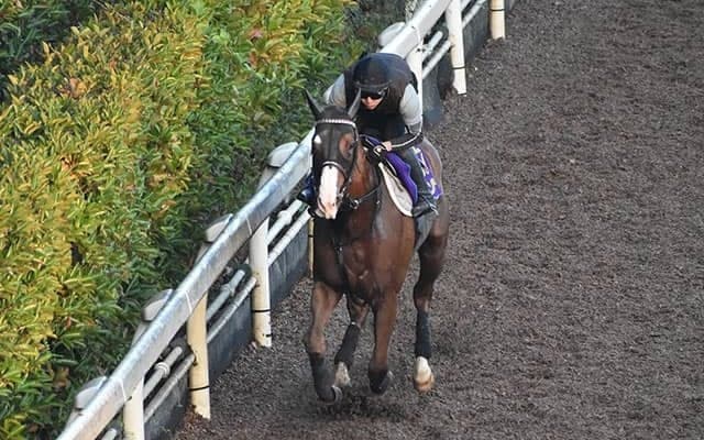 【チャンピオンズC「見逃せない調教師」ベスト3】中京ダート1800mで最も安心して狙えるのは○○調教師